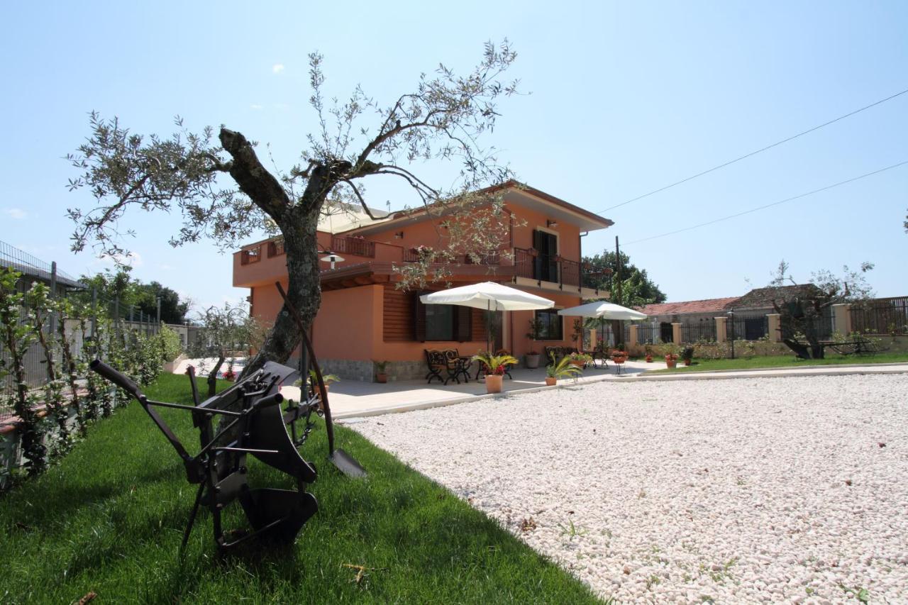 Azienda Agrituristica La Tenuta Del Falco Piedimonte San Germano Exteriör bild