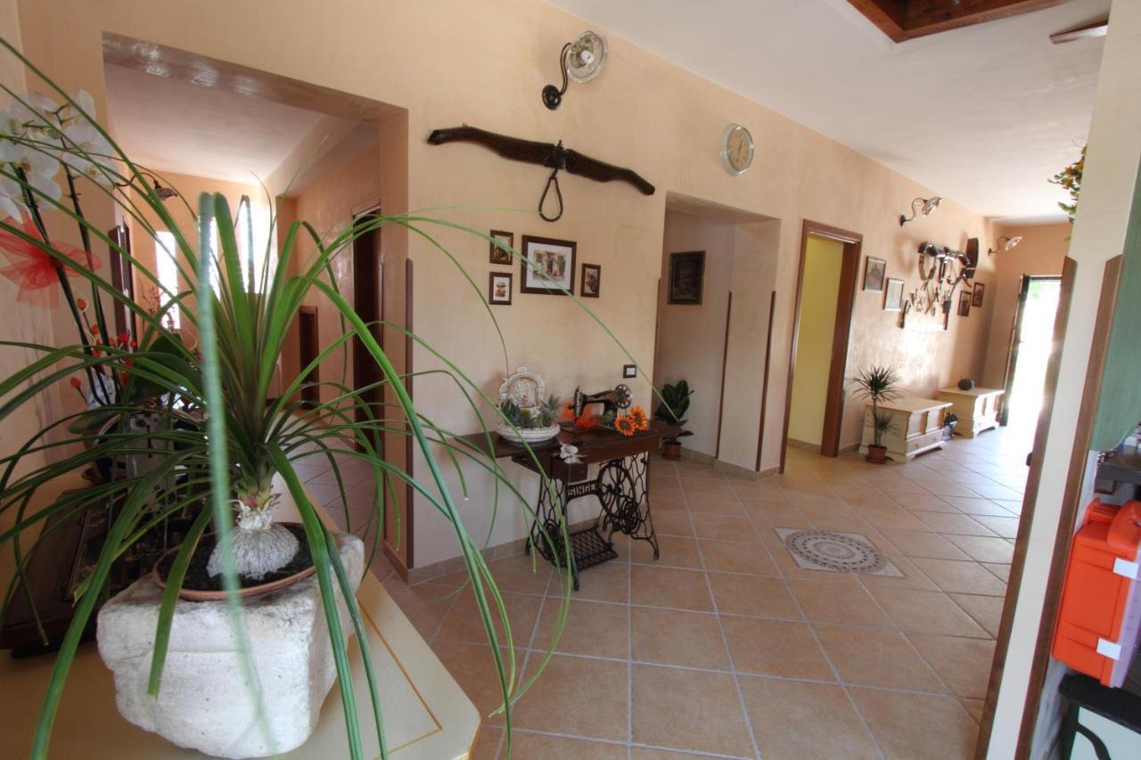 Azienda Agrituristica La Tenuta Del Falco Piedimonte San Germano Exteriör bild